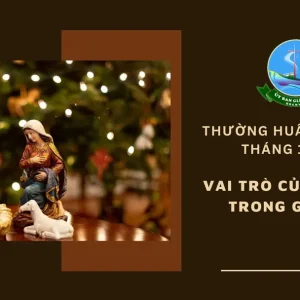 Ủy ban Giáo dân - Thường huấn tháng 12/2024: Vai trò của gia đình trong Giáo hội