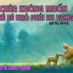 10.12.2024 – Thứ Ba Tuần II Mùa Vọng