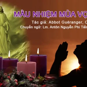 Mầu nhiệm của Mùa Vọng