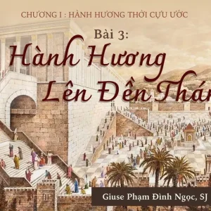 Hành hương thời Cựu ước - Phần 3: Hành hương lên Đền Thánh