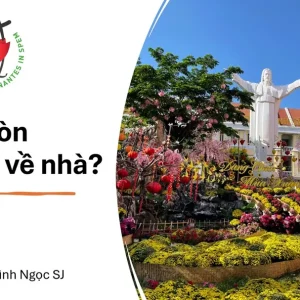 Bạn còn muốn về nhà?