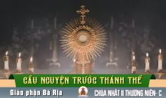 Cầu nguyện trước Thánh Thể- Ngày 19.01.2025 – Chúa nhật II Thường niên – Ga 2,1-11