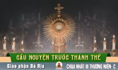 Cầu nguyện trước Thánh Thể- Ngày 26.01.2025 – Chúa nhật III Thường niên – Lc 1,1-4;4,14-21
