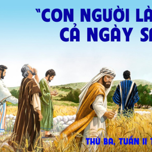21.01.2025 – Thứ Ba Tuần II Thường Niên