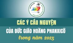 CÁC Ý CẦU NGUYỆN NĂM 2025  CỦA ĐỨC GIÁO HOÀNG PHANXICÔ