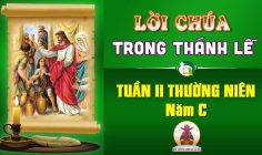 Lời Chúa trong thánh lễ tuần II Thường Niên – Năm C