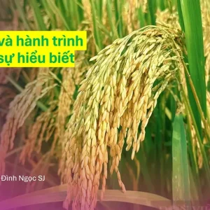 Khiêm tốn và hành trình tìm kiếm sự hiểu biết