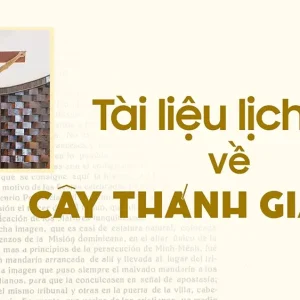 Giáo phận Bắc Ninh: Tài liệu lịch sử về Cây Thánh Giá cổ