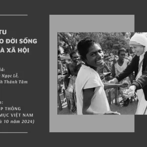 Nữ tu tham gia vào đời sống Giáo hội và xã hội