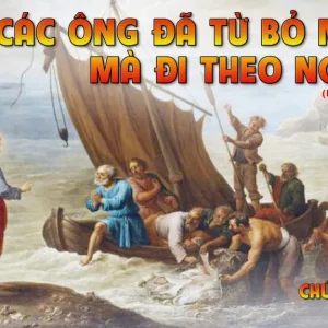 CÁC BÀI SUY NIỆM LỜI CHÚA CHÚA NHẬT V THƯỜNG NIÊN- C