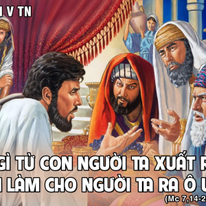 12.02.2025 – Thứ Tư Tuần V Thường Niên
