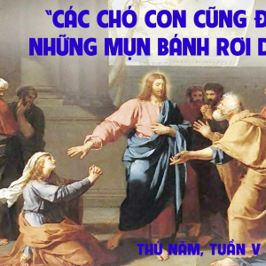 13.02.2025 – Thứ Năm Tuần V Thường Niên