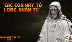 CÁC BÀI SUY NIỆM LỜI CHÚA CHÚA NHẬT VII THƯỜNG NIÊN- C