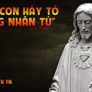 CÁC BÀI SUY NIỆM LỜI CHÚA CHÚA NHẬT VII THƯỜNG NIÊN- C