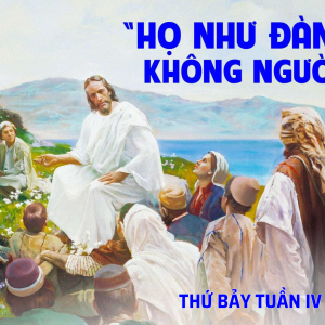 08.02.2025 – Thứ Bảy Tuần IV Thường Niên