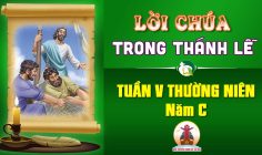 Lời Chúa trong thánh lễ Tuần V Thường Niên – Năm C