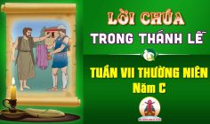 Lời Chúa trong thánh lễ Tuần VII Thường Niên – Năm C
