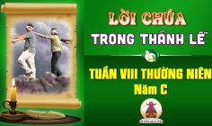 Lời Chúa trong thánh lễ Tuần VIII Thường Niên – Năm C