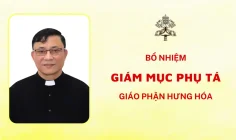 Bổ nhiệm Giám mục Phụ tá giáo phận Hưng Hoá