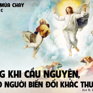 CÁC BÀI SUY NIỆM LỜI CHÚA CHÚA NHẬT II MÙA CHAY-C