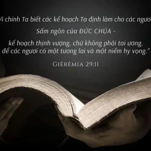Đức hy vọng: Sứ mạng của người Công giáo cho thế giới hôm nay