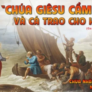 CÁC BÀI SUY NIỆM LỜI CHÚA CHÚA NHẬT III PHỤC SINH-C