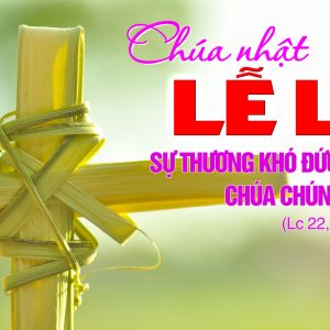 CÁC BÀI SUY NIỆM LỜI CHÚA CHÚA NHẬT LỄ LÁ- C