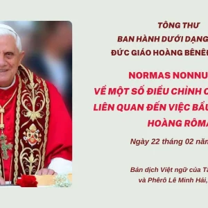 Tông Thư dưới dạng Tự Sắc về một số điều chỉnh các quy tắc liên quan đến việc bầu chọn Giáo hoàng Rôma - Ngày 22.02.2013