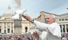 Đức Thánh Cha Phanxicô “Giáo hoàng của hoà bình, cho hoà bình”