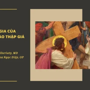 Sự tham gia của Đức Maria vào thập giá