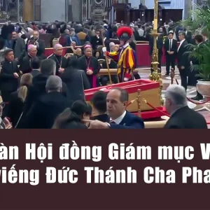 Phái đoàn Hội đồng Giám mục Việt Nam kính viếng Đức Thánh Cha Phanxicô