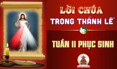 Lời Chúa trong thánh lễ Tuần II Phục Sinh – Năm C