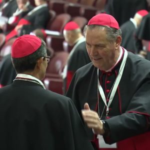 Hồng y đoàn tổ chức phiên họp khoáng đại lần thứ 4, chuẩn bị cho lễ tang của một vị mục tử