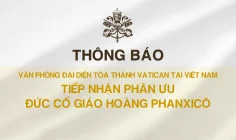 Thông báo Văn phòng Đại diện Toà Thánh Vatican tại Việt Nam tiếp nhận phân ưu Đức Cố Giáo hoàng Phanxicô