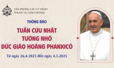 Thông báo về Tuần Cửu nhật tưởng nhớ Đức Giáo hoàng Phanxicô