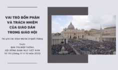 Vai trò bổn phận và trách nhiệm của giáo dân trong Giáo hội