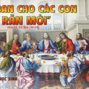 CÁC BÀI SUY NIỆM LỜI CHÚA CHÚA NHẬT V PHỤC SINH- C