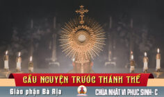 Cầu nguyện trước Thánh Thể- Ngày 25.05.2025 – Chúa nhật VI Phục Sinh – Ga 14,23-29