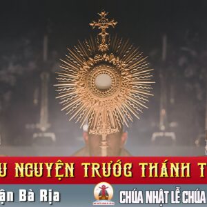 Cầu nguyện trước Thánh Thể- Ngày 01.06.2025 – Lễ Chúa Thăng Thiên – Lc 24,46-53