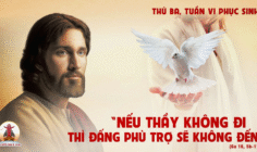 27.05.2025 – Thứ Ba Tuần VI Phục Sinh