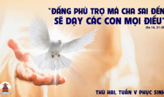 19.05.2025 – Thứ Hai Tuần V Phục Sinh