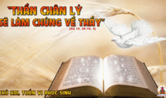 26.05.2025 – Thứ Hai Tuần VI Phục Sinh