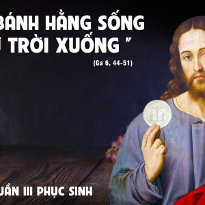 08.05.2025 – Thứ Năm Tuần III Phục Sinh