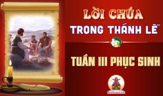 Lời Chúa trong thánh lễ Tuần III Phục Sinh – Năm C