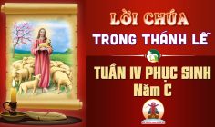 Lời Chúa trong thánh lễ Tuần IV Phục Sinh – Năm C