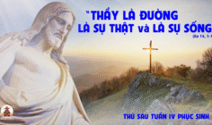  16.05.2025 – Thứ Sáu Tuần IV Phục Sinh