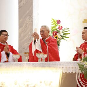 Gx. Láng Cát: Đức Cha Emmanuel dâng thánh lễ Chúa Nhật Chúa Thánh Thần Hiện Xuống