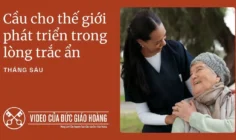 Ý cầu nguyện của Đức Thánh Cha tháng 6/2025: Cầu cho thế giới phát triển trong lòng trắc ẩn