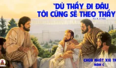 CÁC BÀI SUY NIỆM LỜI CHÚA CHÚA NHẬT XIII THƯỜNG NIÊN-C