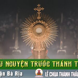Cầu nguyện trước Thánh Thể- Ngày 08.06.2025 – Chúa Thánh Thần Hiện Xuống – Ga 20,19-23